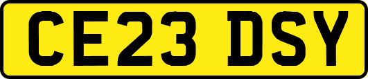 CE23DSY