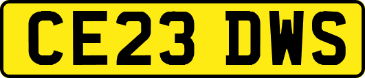 CE23DWS