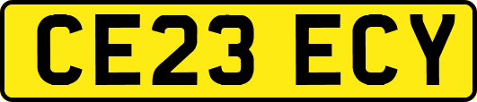 CE23ECY