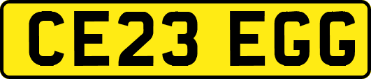 CE23EGG