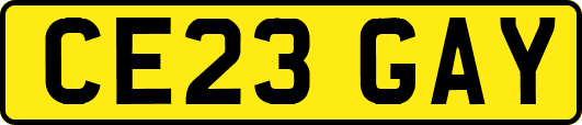 CE23GAY