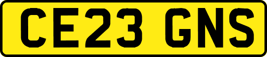 CE23GNS