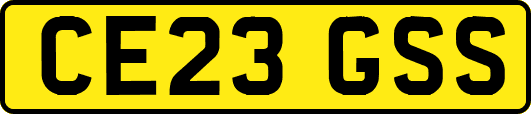CE23GSS