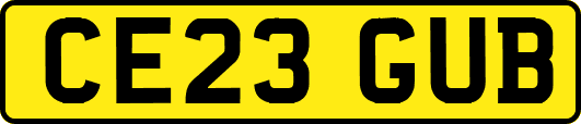 CE23GUB