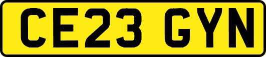CE23GYN