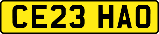 CE23HAO