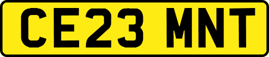 CE23MNT