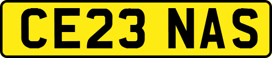 CE23NAS