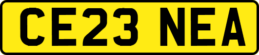 CE23NEA