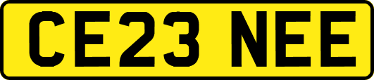 CE23NEE