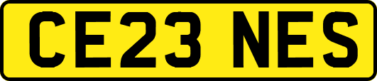 CE23NES