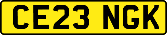 CE23NGK