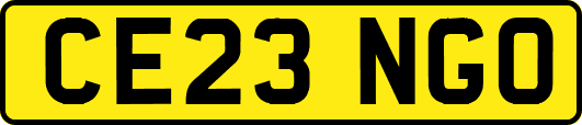 CE23NGO