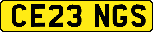 CE23NGS