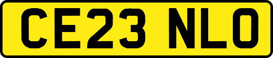 CE23NLO