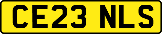 CE23NLS