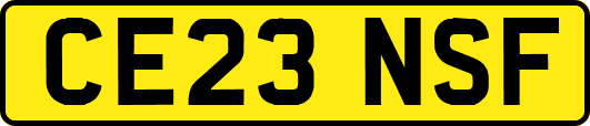 CE23NSF