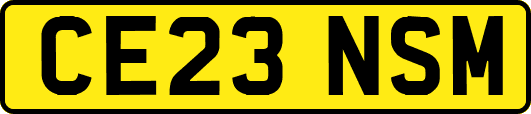CE23NSM