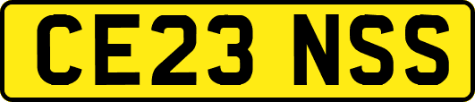 CE23NSS