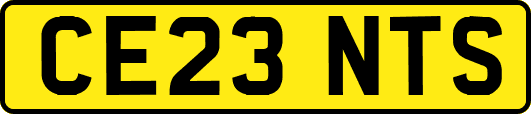 CE23NTS