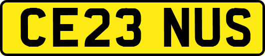 CE23NUS