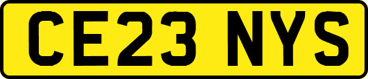 CE23NYS