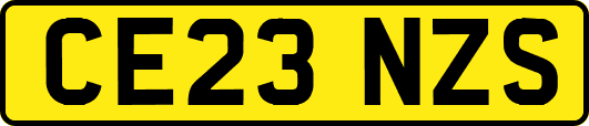 CE23NZS