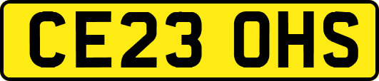 CE23OHS