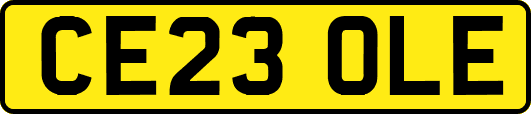 CE23OLE