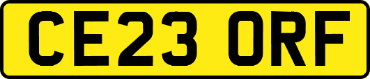 CE23ORF