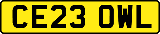 CE23OWL