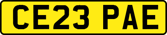 CE23PAE