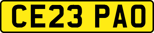 CE23PAO