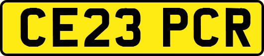 CE23PCR