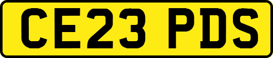 CE23PDS