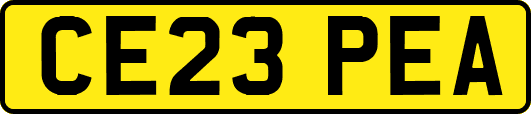 CE23PEA