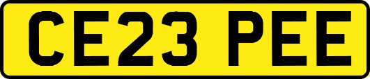 CE23PEE