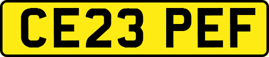 CE23PEF