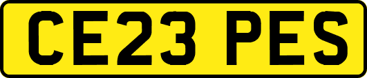 CE23PES