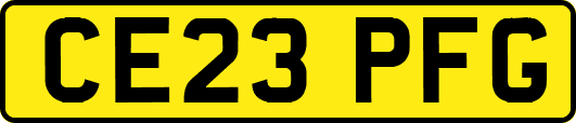 CE23PFG