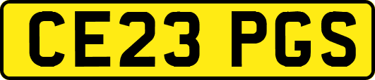 CE23PGS