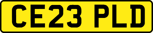CE23PLD