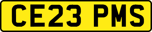 CE23PMS