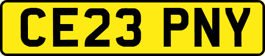 CE23PNY