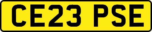 CE23PSE