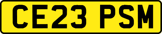 CE23PSM