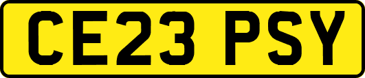 CE23PSY