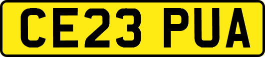 CE23PUA