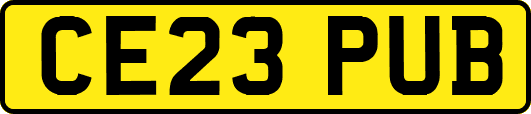 CE23PUB