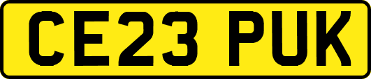 CE23PUK
